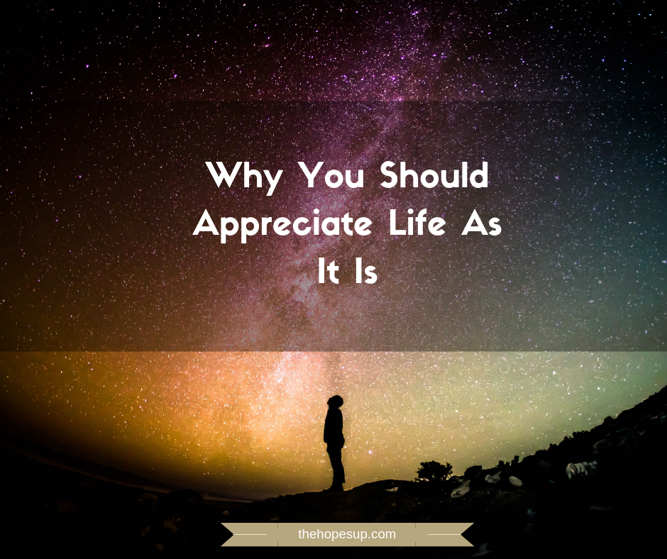 Appreciate life as it is